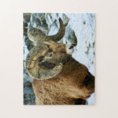 Bighorn Sheep Ram Puzzle (Vertikal)