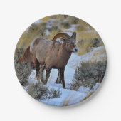 Bighorn Sheep Snow Foto Pappteller (Vorderseite)