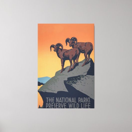 Bighorn Sheep Sunset Poster Leinwanddruck (Vorderseite)