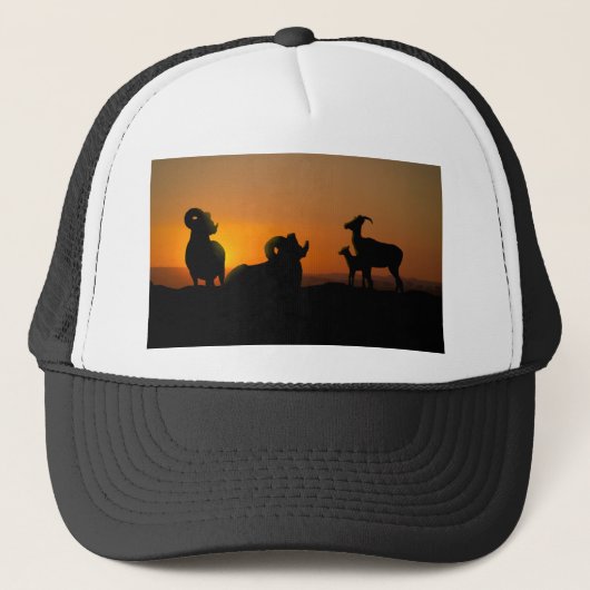Bighorn Sheep Truckerkappe (Vorderseite)