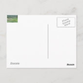 Bighornschaf Postkarte (Rückseite)