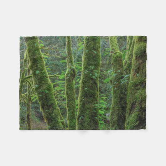 Bigleaf Maple Trees & Ferns | Washingtoner Staat Fleecedecke (Vorderseite (Horizontal))