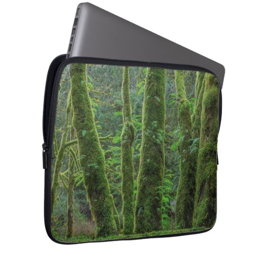 Bigleaf Maple Trees & Ferns | Washingtoner Staat Laptopschutzhülle (Vorne Rechts)