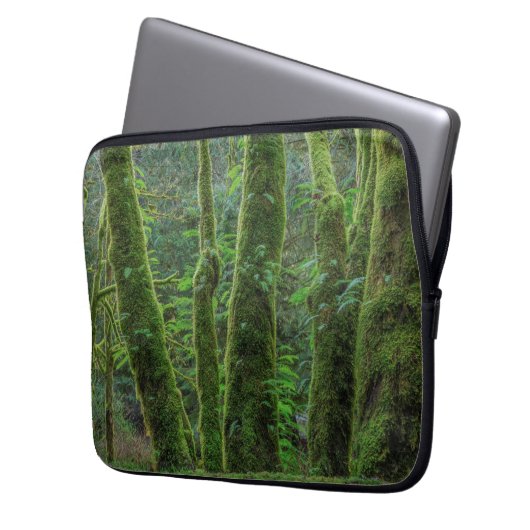 Bigleaf Maple Trees & Ferns | Washingtoner Staat Laptopschutzhülle (Vorderseite Links)