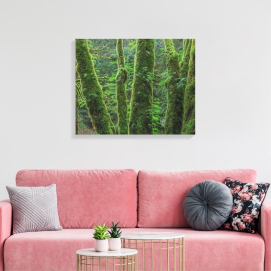 Bigleaf Maple Trees & Ferns | Washingtoner Staat Leinwanddruck (Insitu (Wohnzimmer))