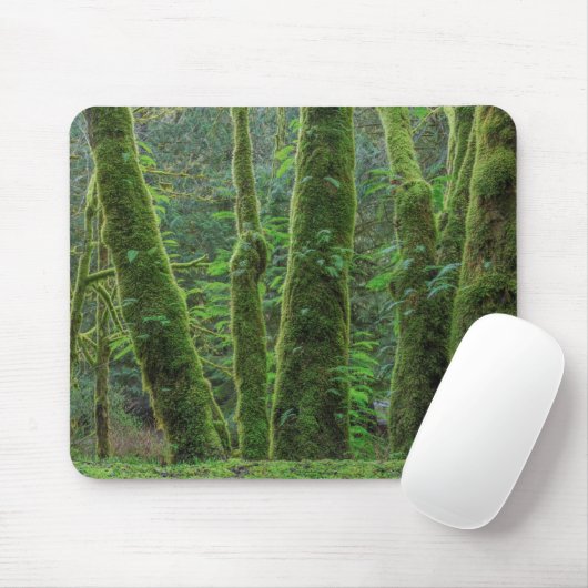 Bigleaf Maple Trees & Ferns | Washingtoner Staat Mousepad (Mit Mouse)
