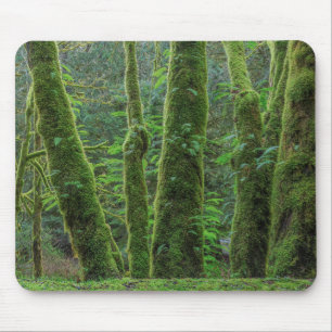 Bigleaf Maple Trees & Ferns   Washingtoner Staat Mousepad