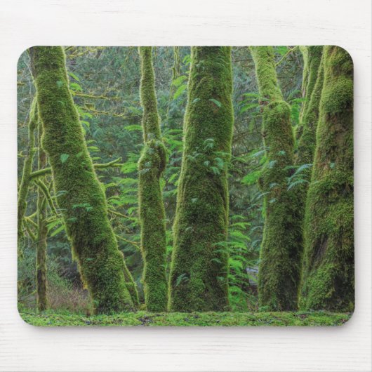 Bigleaf Maple Trees & Ferns | Washingtoner Staat Mousepad (Vorne)