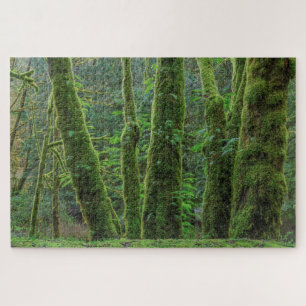 Bigleaf Maple Trees & Ferns   Washingtoner Staat Puzzle