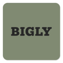 BIGLY SQUARE STICKER