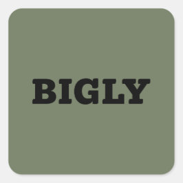 BIGLY SQUARE STICKER