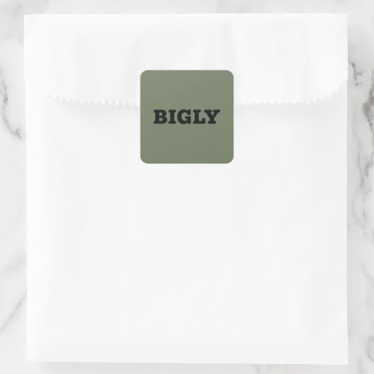 BIGLY SQUARE STICKER (Tasche)