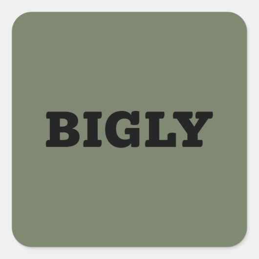 BIGLY SQUARE STICKER (Vorderseite)