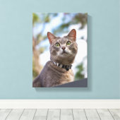 Bijou auf dem Dach Leinwanddruck (Insitu (Holzboden))