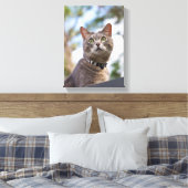 Bijou auf dem Dach Leinwanddruck (Insitu (Schlafzimmer))