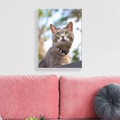 Bijou auf dem Dach Leinwanddruck (Insitu (Wohnzimmer))