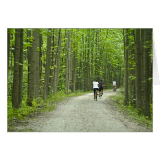 Bike im Ohiopyle Staat Park