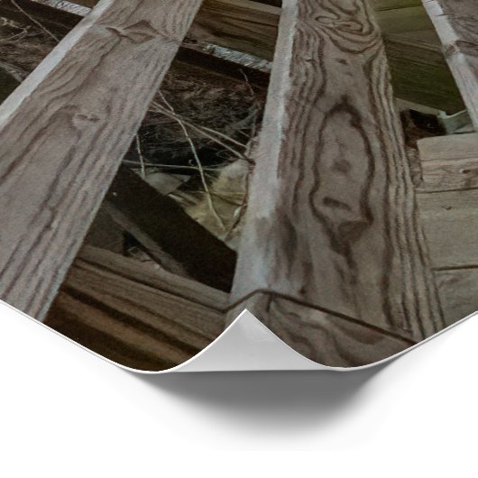 Bike Path Bridge Poster (Ecke)