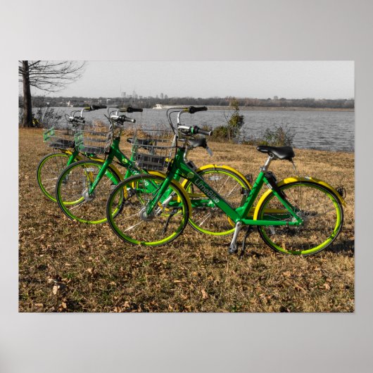 Bike Triplets Poster (Vorne)