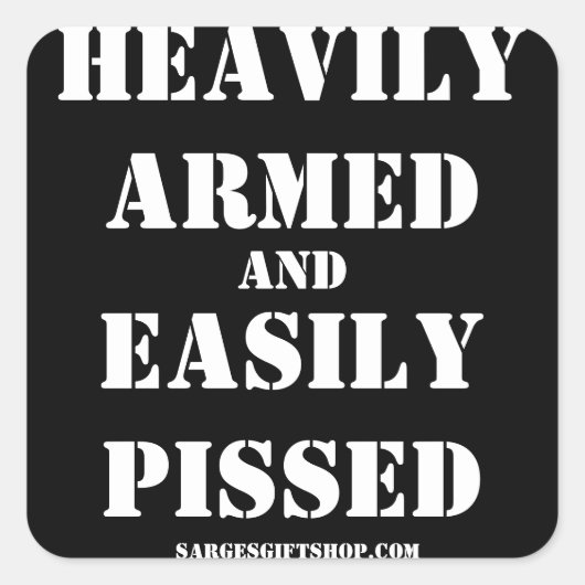 BIKER HELMET STICKER (Vorderseite)