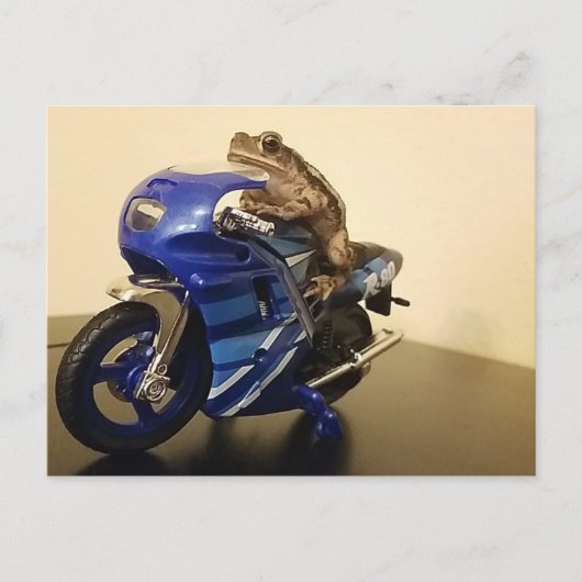Biker Toad Postkarte (Vorderseite)