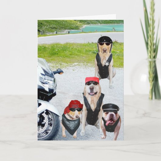Bikerhunde zum Geburtstag Karte (Vorderseite)