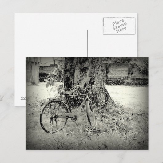 Bikyle unter einem Baum Postkarte (Vorne/Hinten)