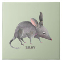 Bilby