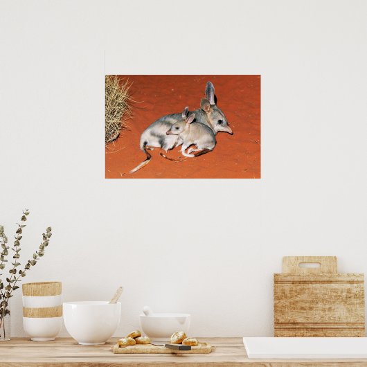 Bilby und Babysitting in der Wüste Poster (Küche)
