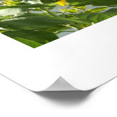 Bild145 Poster (Ecke)