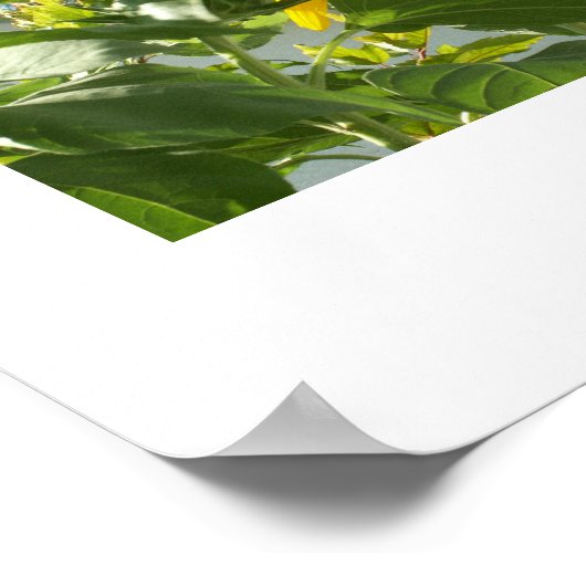 Bild145 Poster (Ecke)