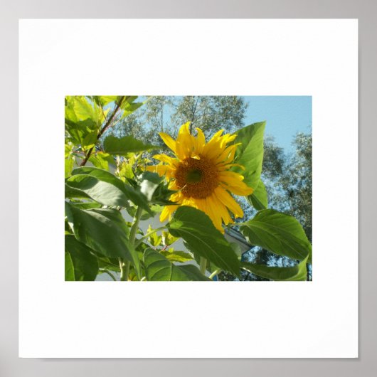 Bild145 Poster (Vorne)