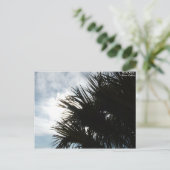 Bild 150, Foto Artist: Silver Collins Postkarte (Stehend Vorderseite)