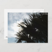 Bild 150, Foto Artist: Silver Collins Postkarte (Vorne/Hinten)