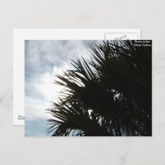 Bild 150, Foto Artist: Silver Collins Postkarte (Vorne/Hinten)