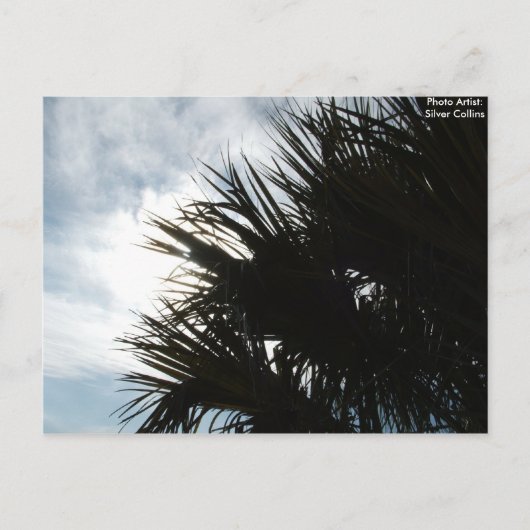 Bild 150, Foto Artist: Silver Collins Postkarte (Vorderseite)