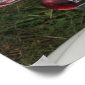 BILD 180 POSTER (Ecke)