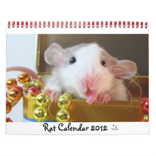 Bild 2012 kalender