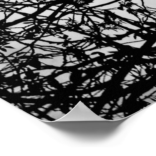 Bild der Baumzweige Poster (Ecke)