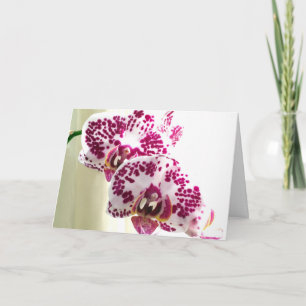 Bild der farbenfrohen lila Orchidee "Ich denke an Karte