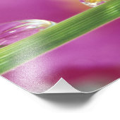 Bild der in Wassertröpfchen gebildeten Aster Fotodruck (Ecke)