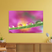 Bild der in Wassertröpfchen gebildeten Aster Leinwanddruck (Insitu (Wohnzimmer))