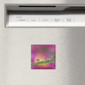 Bild der in Wassertröpfchen gebildeten Aster Magnet (In Situ (Geschirrspüler))