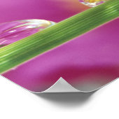 Bild der in Wassertröpfchen gebildeten Aster Poster (Ecke)