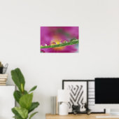 Bild der in Wassertröpfchen gebildeten Aster Poster (Heimbüro)