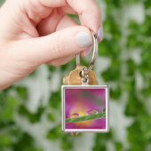 Bild der in Wassertröpfchen gebildeten Aster Schlüsselanhänger (Hand)