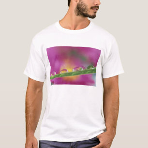 Bild der in Wassertröpfchen gebildeten Aster T-Shirt