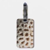 Bild der Koralle Gepäckanhänger (Rückseite vertikal)