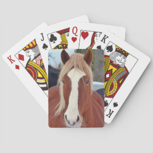 Bild der Pferde - ein Pferd mit der schönen Mähne Spielkarten