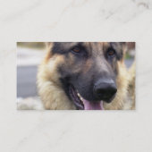 Bild der Schäferhund-Visitenkarte Visitenkarte (Rückseite)